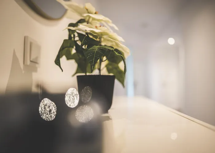 Exklusives Luxus, 75 Tv & Lage Wehome Premium Apartamento *